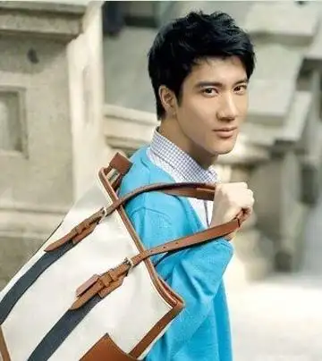 王力宏发型图片沉稳帅气的王力宏发型偶像魅力尽显