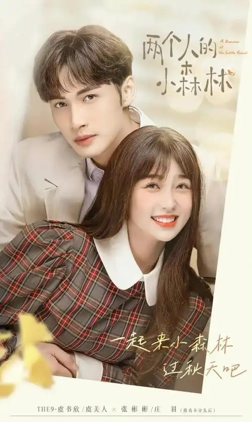 2021年12月上映的电视剧2021年12月上映的电视剧有哪些