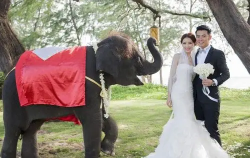 陈赫结婚照 资料图娄艺潇曾以火爆荧屏的《爱情公寓》系列剧而被传与