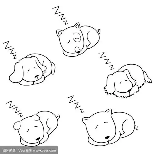 一组睡觉的狗