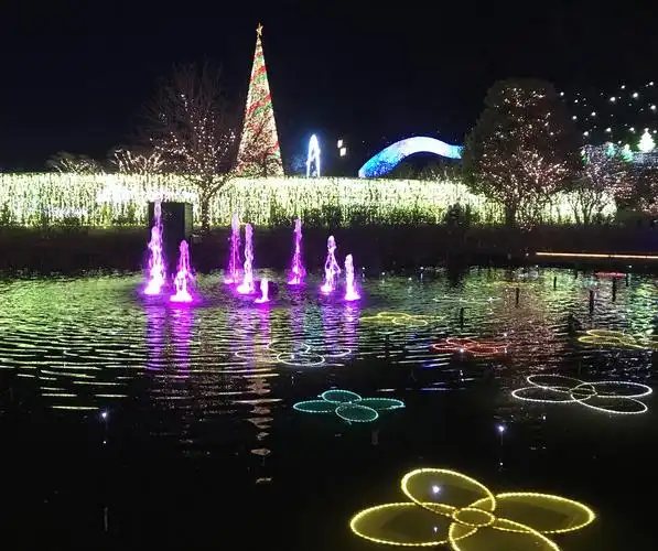 其它 冬天的足利花卉公园 写美篇      包括美丽的夜景,足利公园的