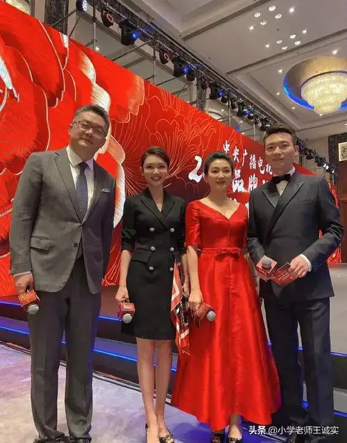 龙洋龙洋简历个人资料简介(主持过诗词大会的才女) | 人物集