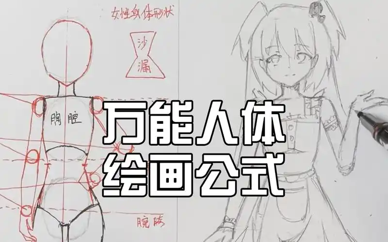 身体画不好?万能人体绘画公式一定要学