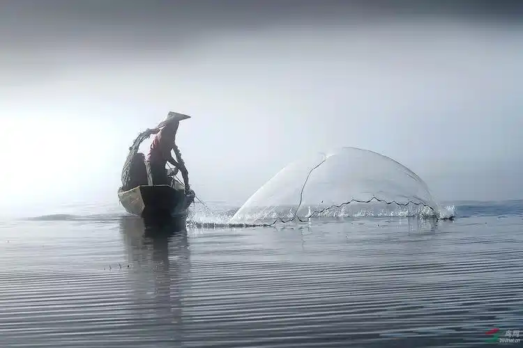 入水瞬间获首页综合精华