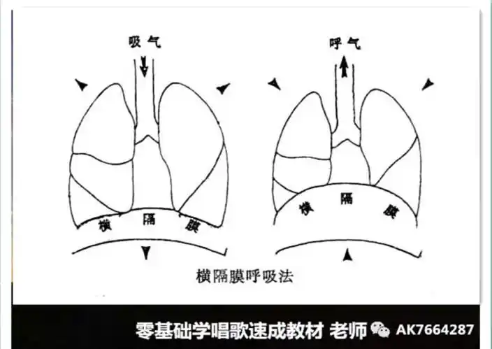 有了深而稳定的呼吸支点,小腹的"丹田"部位就能将气息反弹到鼻咽
