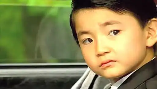 他是第一位入狱的童星网友自毁前程自作自受