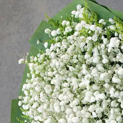 满天星图片女头像大图