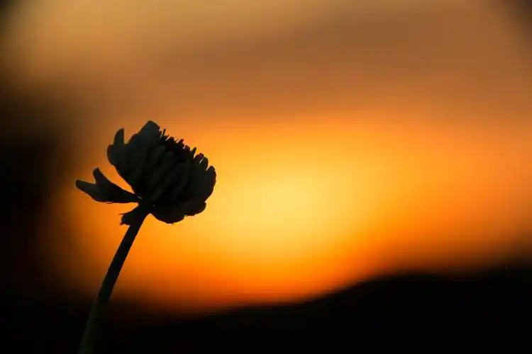 心情忧郁的句子说说心情,内心压抑,适合发朋友圈