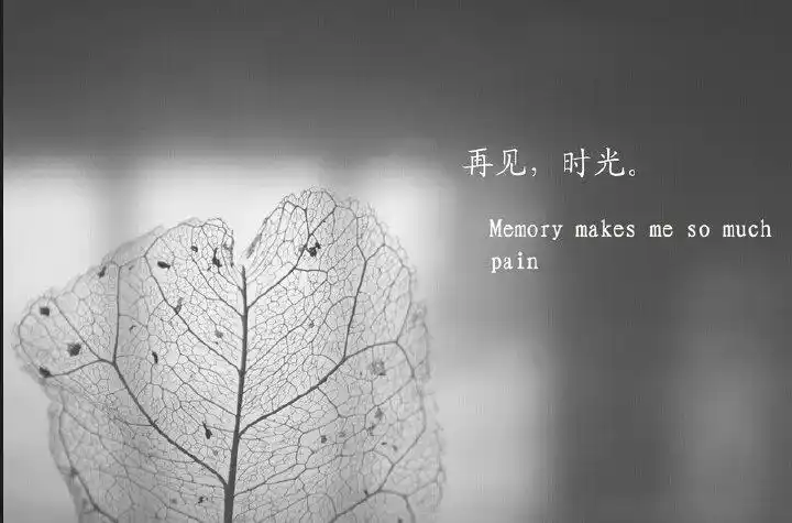 告别曾经的自己