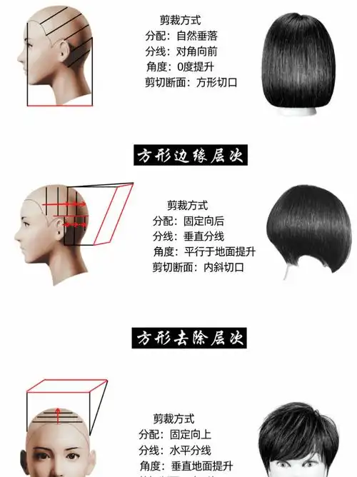 方圆三角技术美发理论海蒂老师剪发教程