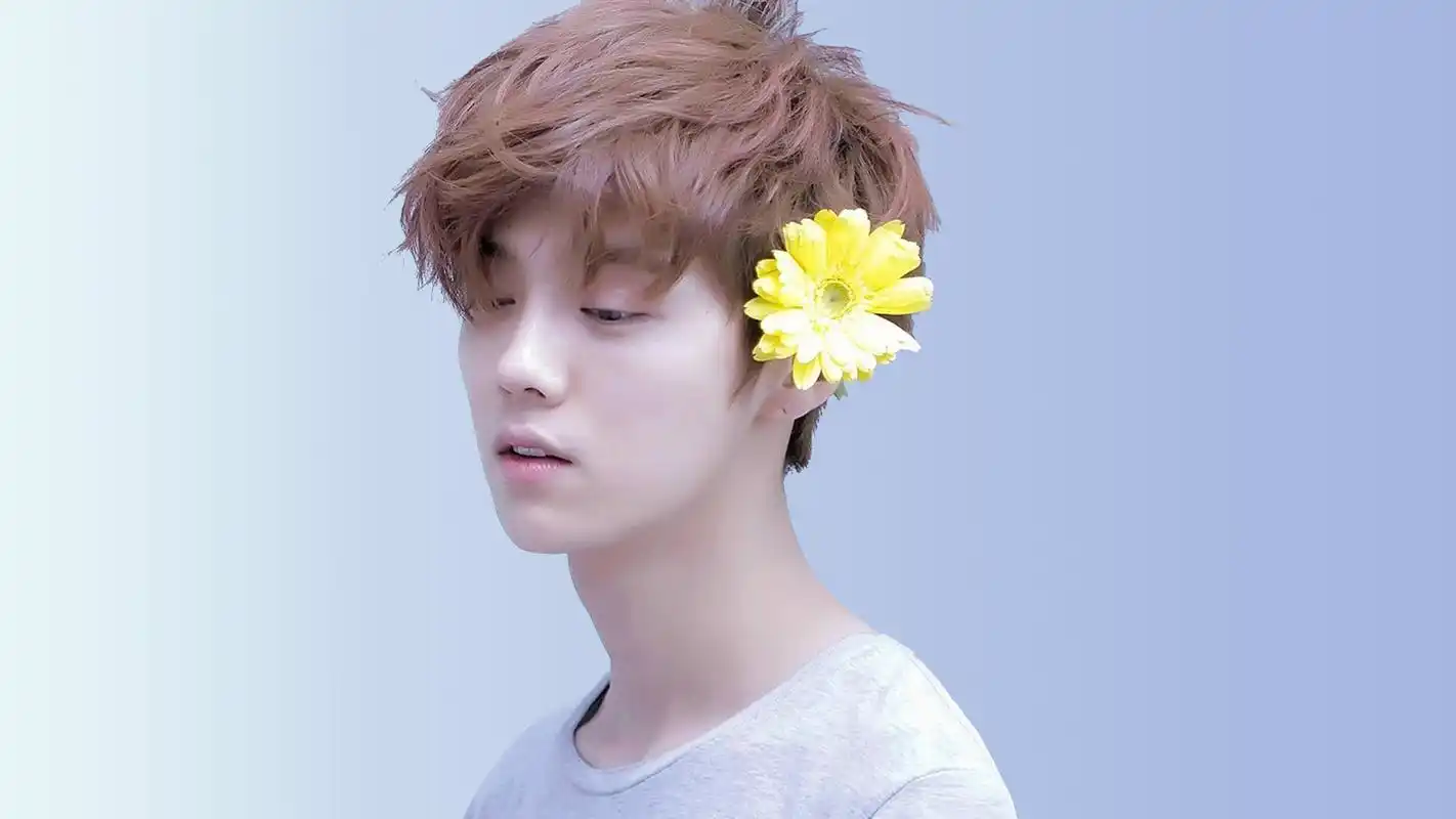 90后小鲜肉鹿晗简约帅气写真图片桌面壁纸