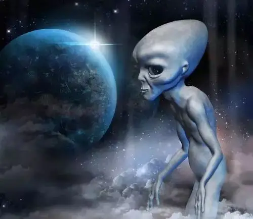 真相来了美国屠牛事件并非外星智慧生命所为而是人为造成