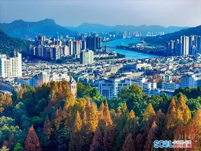 从全球,全国,成渝三个区域层面,建设雅安成为全球生物多样性友好城市