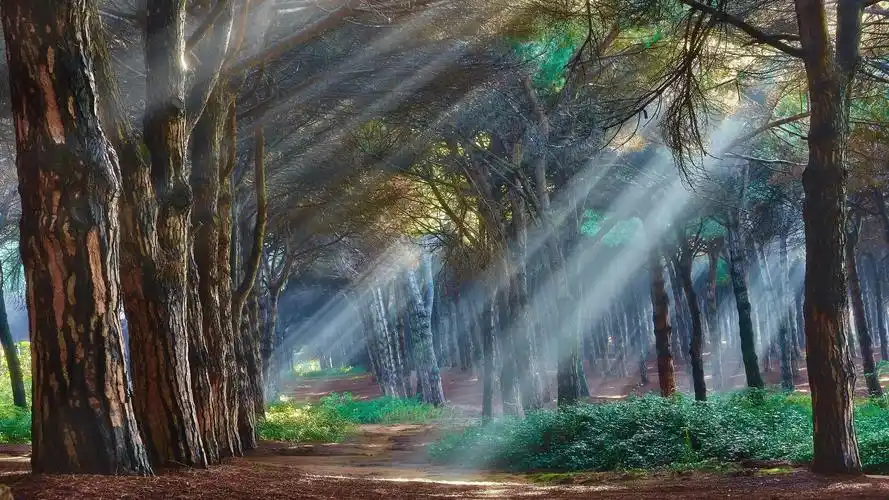 icon | 桌面头像图标签名分享 03 【美丽风景壁纸八】【1920x1080】