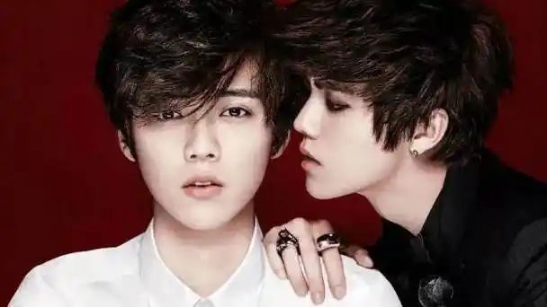 在娱乐圈这片繁星闪烁的天空中,鹿晗无疑是一颗耀眼的明星.