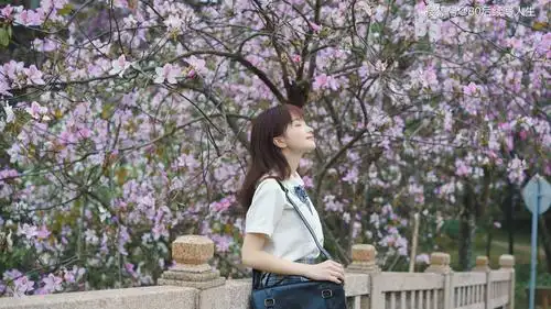 清新靓丽的小姐姐,美女电脑高清壁纸!