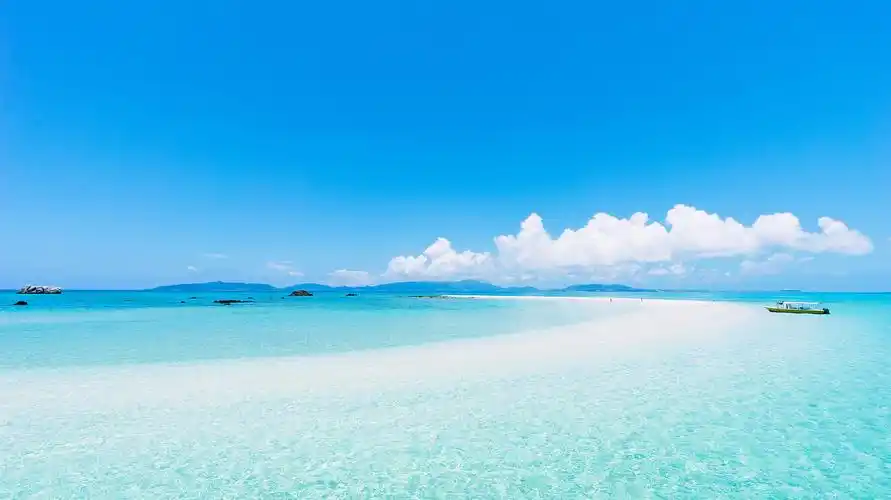 27mb 分辨率:3840 x 2160文件名:国宝大熊猫在吃竹子 4k电脑