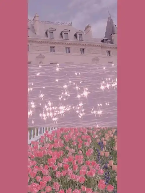 ins风郁金香壁纸锁屏