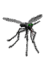 176_220gif 动态图 动图