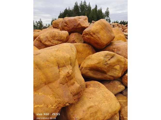 洛阳伊河黄蜡石