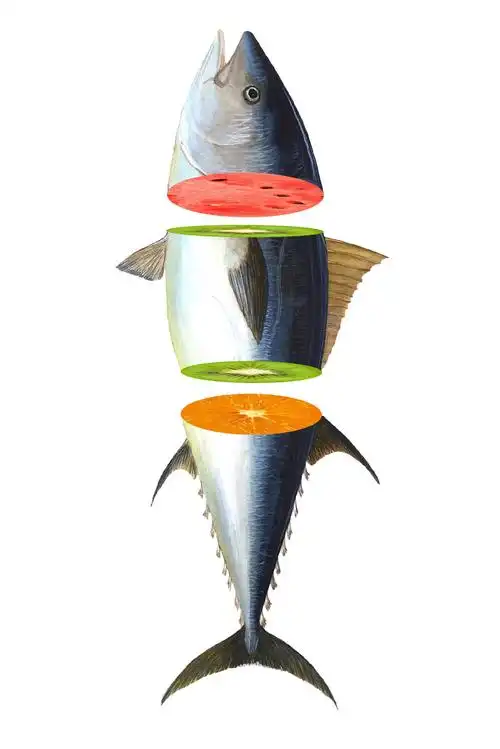 讲透同构在版式设计创意中的13种表现形式 实战案例详解_摆渡鱼生