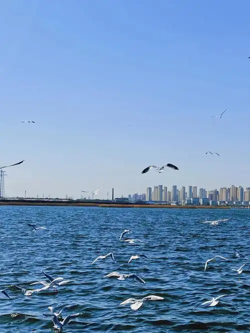 喜欢天津的原因之一