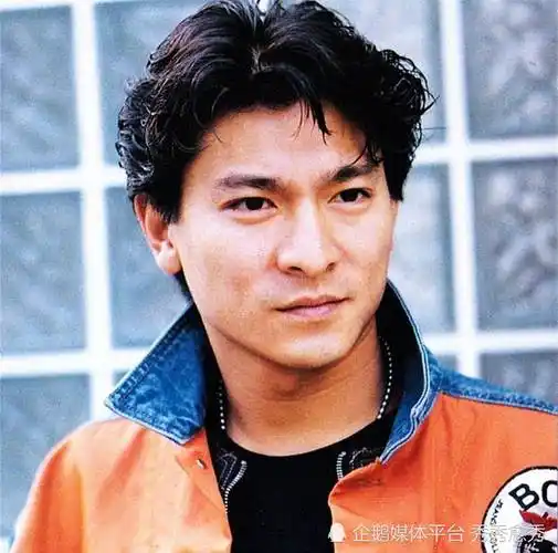 刘德华一直保持着高调的姿态,在影视歌坛取得了长期的成就.