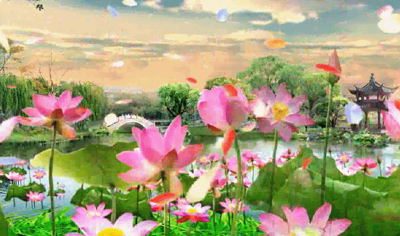 800_473gif 动态图 动图