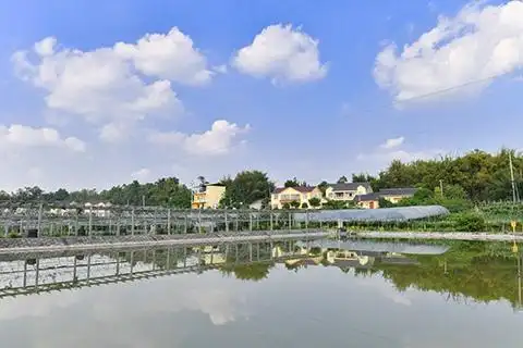 璧山区正兴镇沙塝村河堰村的蜕变之路