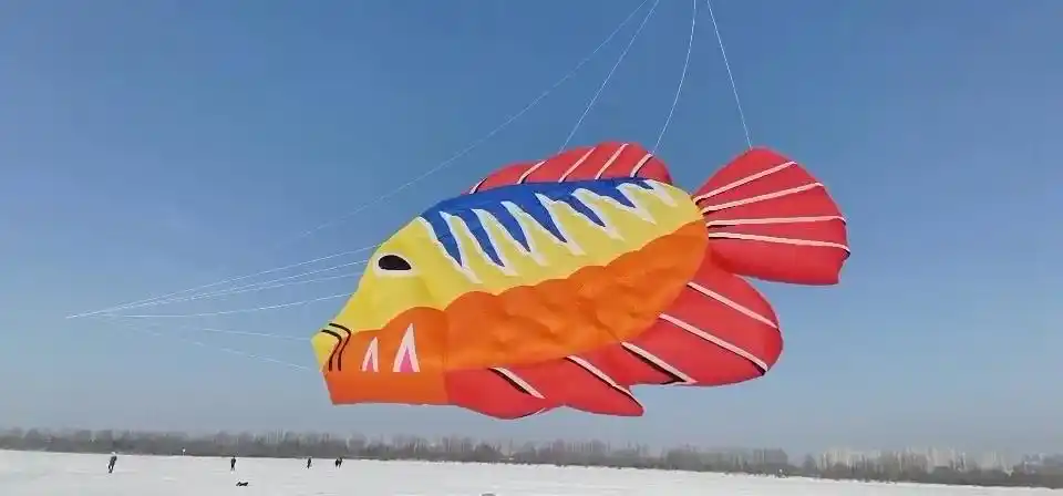 大鱼风筝飞起来