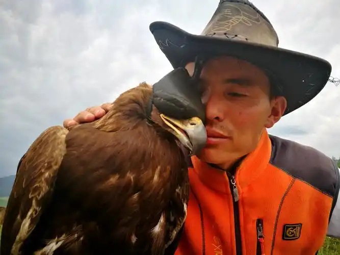 他说猎鹰性子刚烈凶猛,遇见生人靠近会发起攻击,只有给他戴上眼罩,并