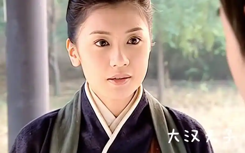 贾静雯拍过的古装剧如有缺失欢迎补充