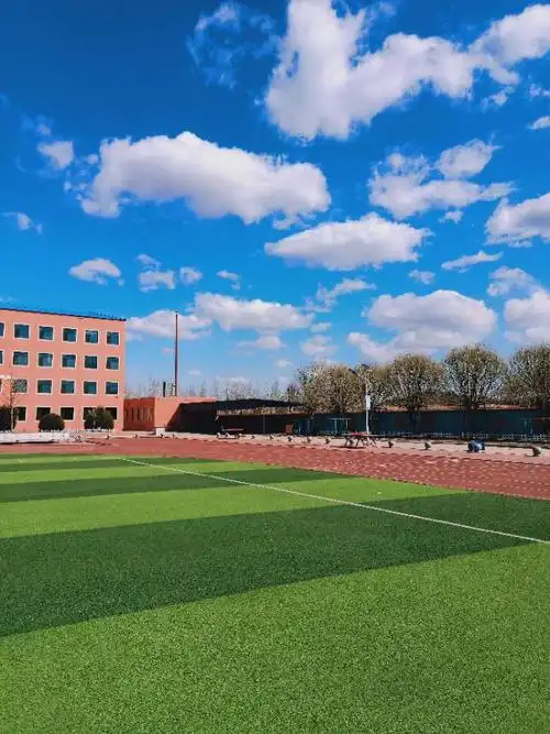 美丽校园我的家