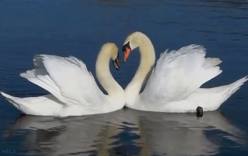 请珍惜少女的青春感觉有点小邪恶的动态图
