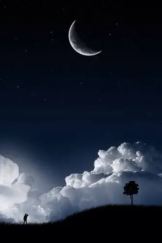 每个人都是孤独的存在,即使身边有家人,有朋友的陪伴,可以解忧,可以