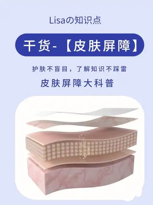 热知识什么是肌肤屏障学会自己辨识