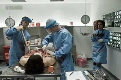 年轻有为的泰德·格雷(米洛·文堤米利亚饰)终于迎来了自己在著名的