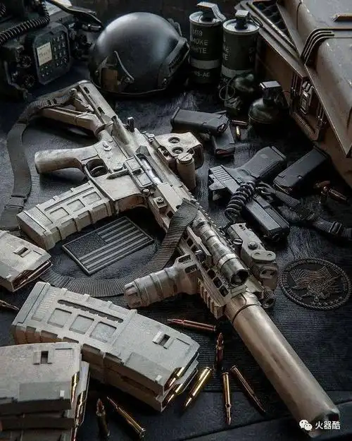 枪械美图欣赏让男人失去抵抗力的枪色艺术