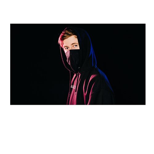 居梦坞alan walker 艾伦沃克 电音舞曲派对海报画酒吧dj音乐装饰画