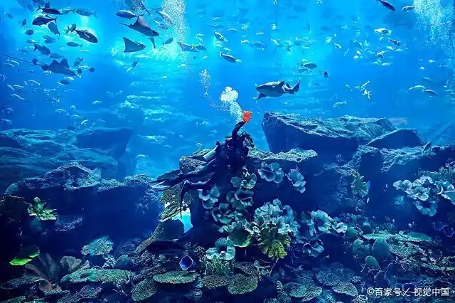 岛弧链,海岸或褶皱山脉)209,六大板块的名称亚欧,非洲,美洲,太平洋