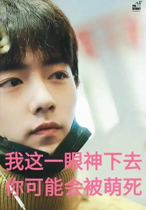 肖战的表情包合集