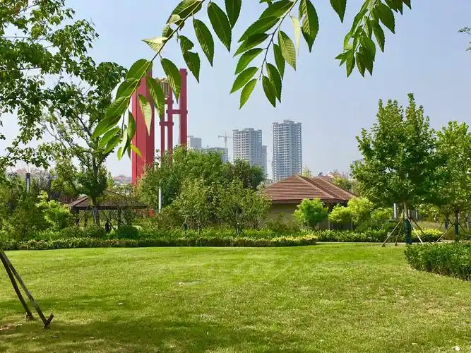 九龙湾公园风景随拍花絮.2019.09.09