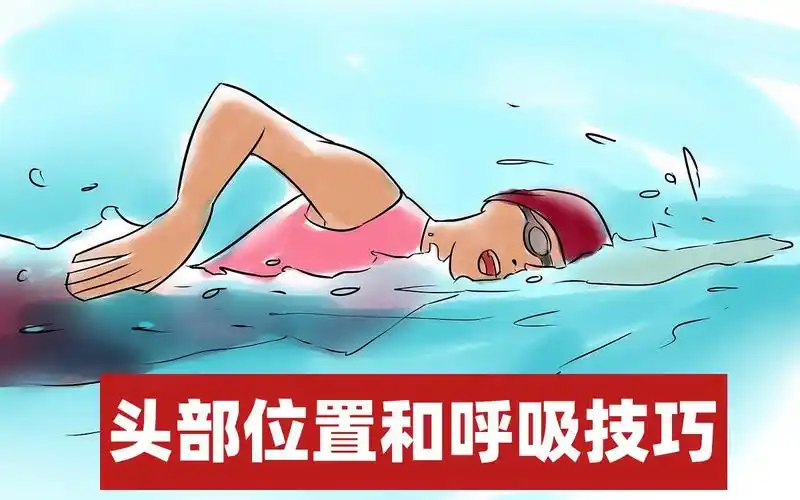 自由泳中最重要的技巧