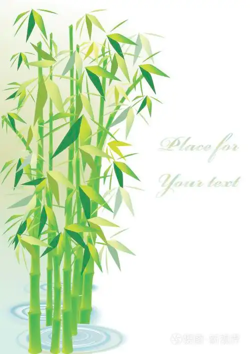 竹子背景插画-正版商用图片024z0q-摄图新视界