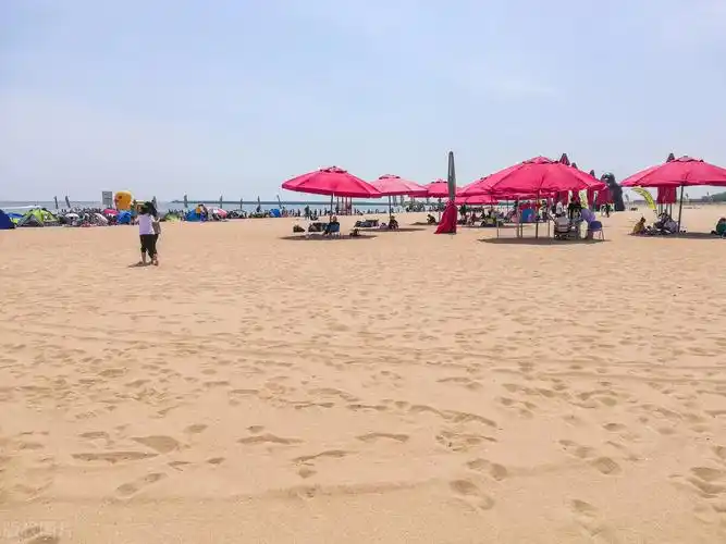 天津看海去哪里最好天津海边6大热门景点推荐