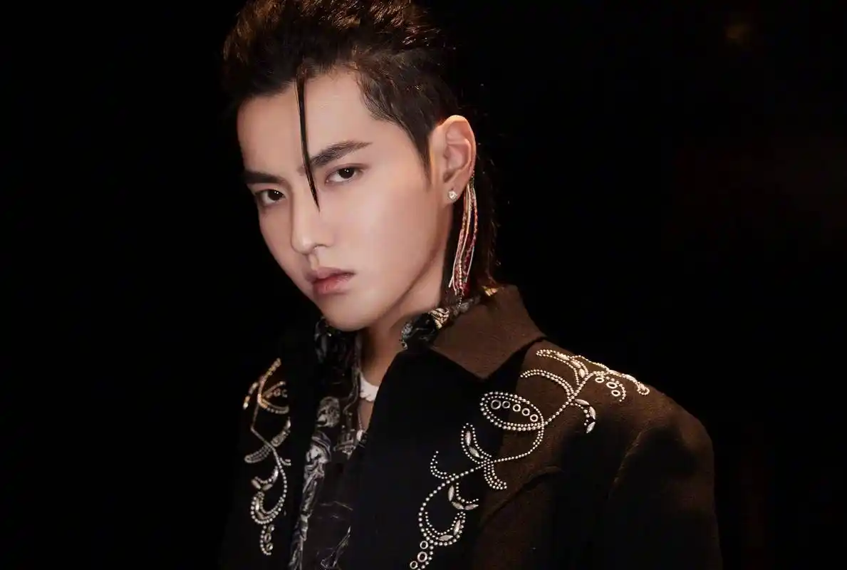 巩汉林谈吴亦凡致敬照,称绿色娱乐可以接受,后一句话让人泪目