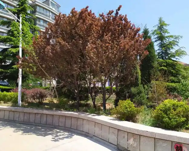 【金城花园(一期), 金城花园(一期)小区详情,房价走势,房源,业主论坛