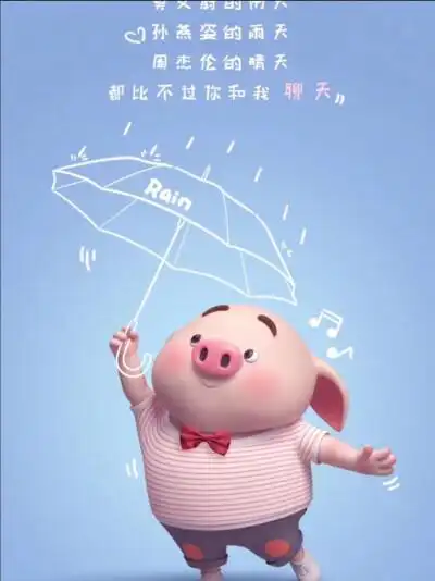 萌猪图片