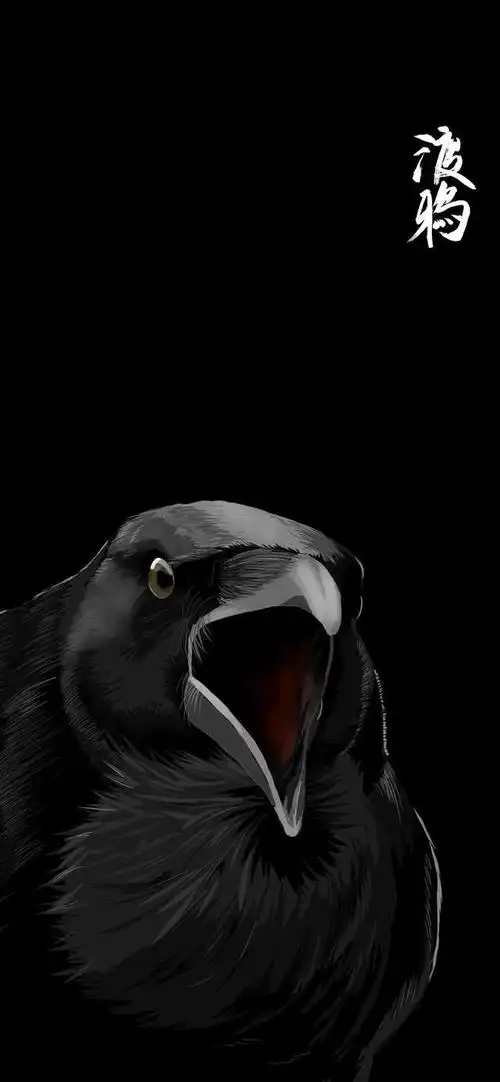 黑色全面屏壁纸