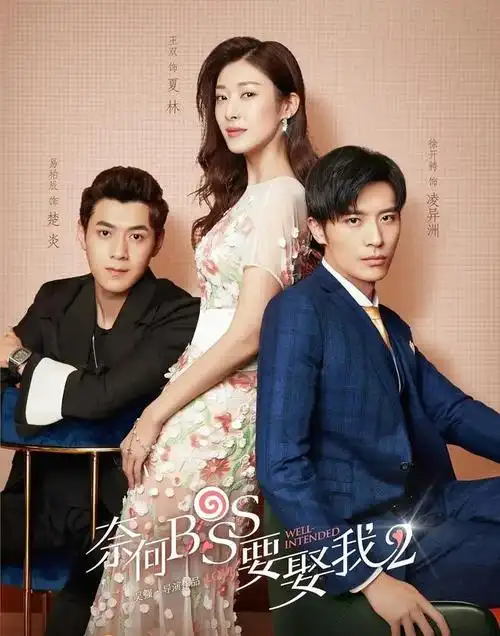 搜狐视频播放量破亿的25部好剧张予曦徐开骋各占了3部